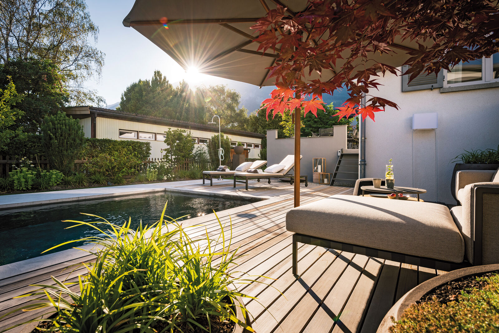 Der umgestaltete Garten umschliesst das Haus und den kantigen Betonpool mit einer sanften Bepflanzung.